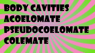 Biology Body Cavities Acoelomate Pseudocoelomate Colemate [upl. by Yblok]