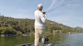 10 Baits 10 Bass 20 Minute Challenge [upl. by Llerreg]