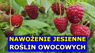 Kluczowe Nawożenie Jesienne Malin Borówki Truskawek Winogron Drzew owocowych Krzewów owocowych [upl. by Buffy]