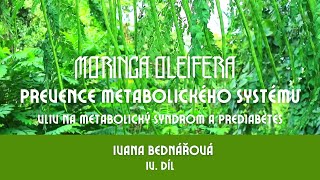 IVANA BEDNÁŘOVÁ MORINGA IV DÍL PREVENCE METABOLICKÉHO SYSTÉMU [upl. by Ahsemed]