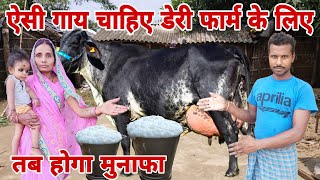 ऐसी गाय चाहिए डेरी फार्म के लिए dailyvlogs gopiarhanavlogs [upl. by Silloh]