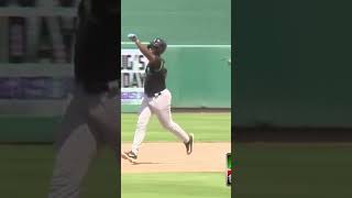 Cincinnati Reds Prospect Cam Collier hits his 14th home run of the season Reds [upl. by Odnomor]