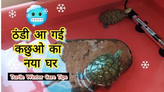 सर्दियों में कछुओ की देखभाल केसे करे  Turtle Winter Care Tips turtlecare kachua petsandanimals [upl. by Aneekas]