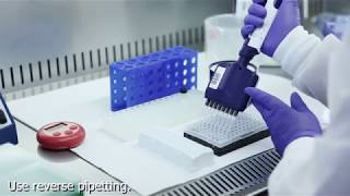 Olink Proteomics Lab Instruction [upl. by Ceporah]