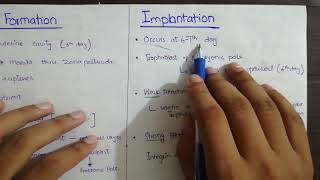 Blastocyst Formation and Implantation  General Embryology  langman klm [upl. by Secor796]