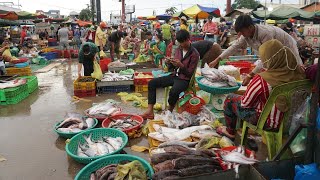 Amazing Site Distributes SeaFood amp Fish Chhbar Ampov  Morning Fish Market Scene Show [upl. by Ntsyrk]