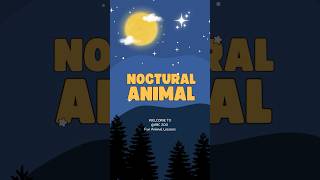 🐺🦉 The Night Shift Exploring Nocturnal Animals and Their Secretsquot  ABC ZOO Fun Animal Lessons [upl. by Yentruok]