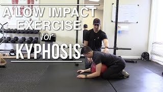 A low impact exercise for kyphosis rounded upper back [upl. by Yrogiarc]