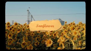 Sunflower  Pauline Zoe Park Official Lyric Video [upl. by Antonetta]