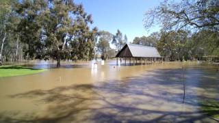 Wangaratta Floods Drone Video [upl. by Shaer401]