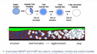 Gas Hydrates Formation amp Flow Assurance  How to Monitor amp Control [upl. by Egres]