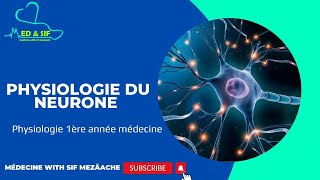 5 Physiologie du neurone  Physiologie 1ére MED [upl. by Sapphire]