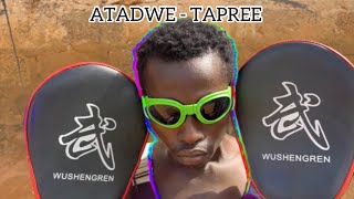 ATADWE  TAPREE  Oficial Lyrics Video ft FANTA BLAQ 🔥🌎 atadwe worldmusic entertainment [upl. by Eenej]