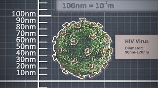 The Metre  Metric unit of length  Scale comparison [upl. by Sami]