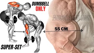 8 Best biceps and triceps workout with dumbbells only  SUPERSET TRICEPS amp BICEPS [upl. by Lourie347]