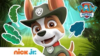 Extended Trailer FtTracker 🐾 NEW Full Episode on  PAW Patrol  Nick Jr [upl. by Anila102]