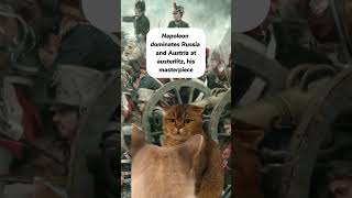 The Life of Napoleon simplified by cats [upl. by Hoxie]