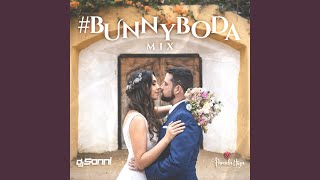 Mix Matrimonio Bunny Boda [upl. by Yrot788]