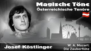 Josef Köstlinger mit der Bildnisarie aus quotDie Zauberflötequot [upl. by Demmahum]