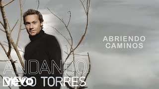 Diego Torres  Abriendo Caminos Official Audio ft Juan Luis Guerra [upl. by Dlareme]