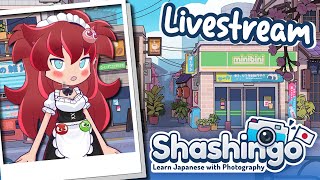 The perfect Snapshot Shashingo Learn Japanese with Photography LIVESTREAM [upl. by Phio]