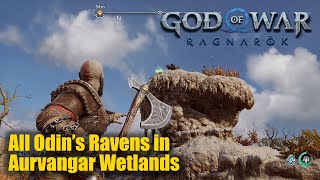 God of War Ragnarok  All Odins Raven in Aurvangar Wetlands Svartalfheim [upl. by Durno]