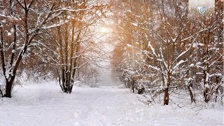 Winter Classical Music Tchaikovsky Vivaldi Mussorgsky Smetana [upl. by Asirahc164]