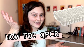 HOW TO qPCR  Tutorial video  Follow a scientist doing a qPCR [upl. by Yrot41]