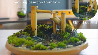 diy zen style terrarium with pond and moving bamboo fountain  diy shishi odoshi [upl. by Infield]