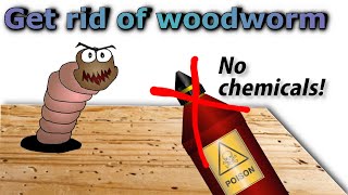 Get rid of woodworm for good no pesticides [upl. by Auerbach]