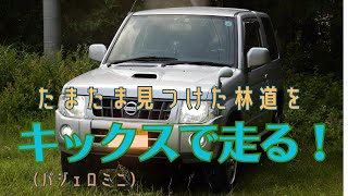 【車載動画】茨城の林道をキックスで走る！ [upl. by Mattox806]