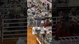 Shad Mayfield winning the Fort Worth Stock Show and Rodeo calfroper worldchampion roydinges [upl. by Aihsia576]