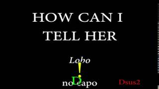 HOW CAN I TELL HER  LOBO Easy Chords and Lyrics [upl. by Adalie]