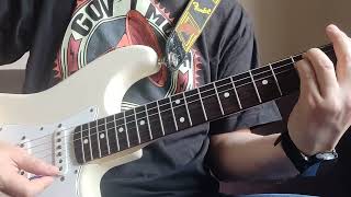 Snowy White  quotBird of Paradisequot guitar cover  Fender Stratocaster [upl. by Garold]