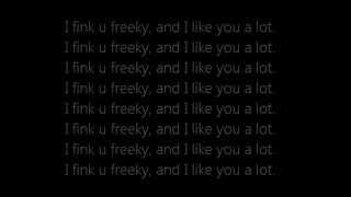 Die Antwoord  I Fink U Freeky Lyrics On Screen [upl. by Issak]