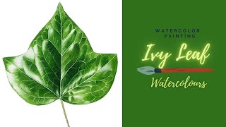 How to paint an Ivy Leaf with WatercolorsRealistic Leaf painting watercolors ivyleaf painting [upl. by Anerom963]