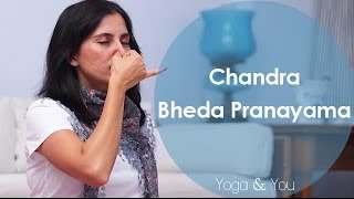 How to do Chandra Bheda Pranayama  Ventuno Yoga and You [upl. by Ailyn]