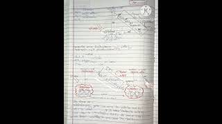 Cyclicampnoncyclic reaction light phosphorylation photosynthesisinhigherplants botanynotes pwnotes [upl. by Tyrrell]