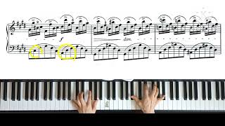 쇼팽환상즉흥곡 양손1 느리게 연습하기 Chopin FantaisieImpromptu Op66 slow practice [upl. by Loralie499]