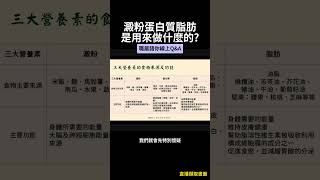 澱粉蛋白質脂肪是用來做什麼的？ [upl. by Poll543]