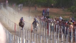 Corrida de Cavalos em Sumé DISPUTA ACIRRADA [upl. by Ahseim]