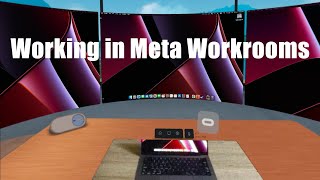 Working in VR with Meta Workrooms [upl. by Hibbs]