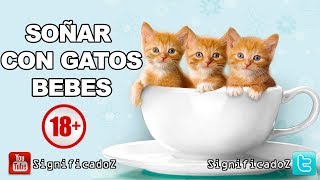 Significado de SOÑAR GATOS BEBES 🔞 ¿Que Significa [upl. by Atterbury482]