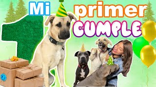 🦌🌳CUMPLEAÑOS de KODA🐕 ¡NUESTRO PERRO DEL BOSQUE cumple 1 AÑO🥰El bb DEL TERROR MERLIN  Conny Merlin [upl. by Jurgen]