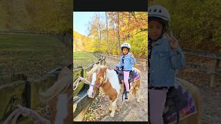 Horsey Horsey Dont You Stop  Riyas Pony Ride  Brown County State Park [upl. by Naegem]