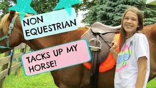 NON EQUESTRIAN TACKS UP MY HORSE  Ft AVA [upl. by Demb]