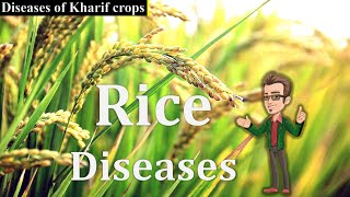 Diseases of Rice and Management  Disease cycle Etiology  BSc Agriculture [upl. by Sonni]