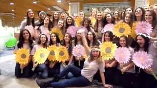 Kappa Delta TCNJ Bid Day 2014 [upl. by Zeidman]