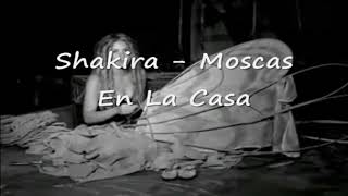 Shakira moscas en la casa letra [upl. by Rramahs]