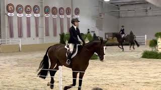 24 2022 Maclay Regionals Flat [upl. by Marieann]